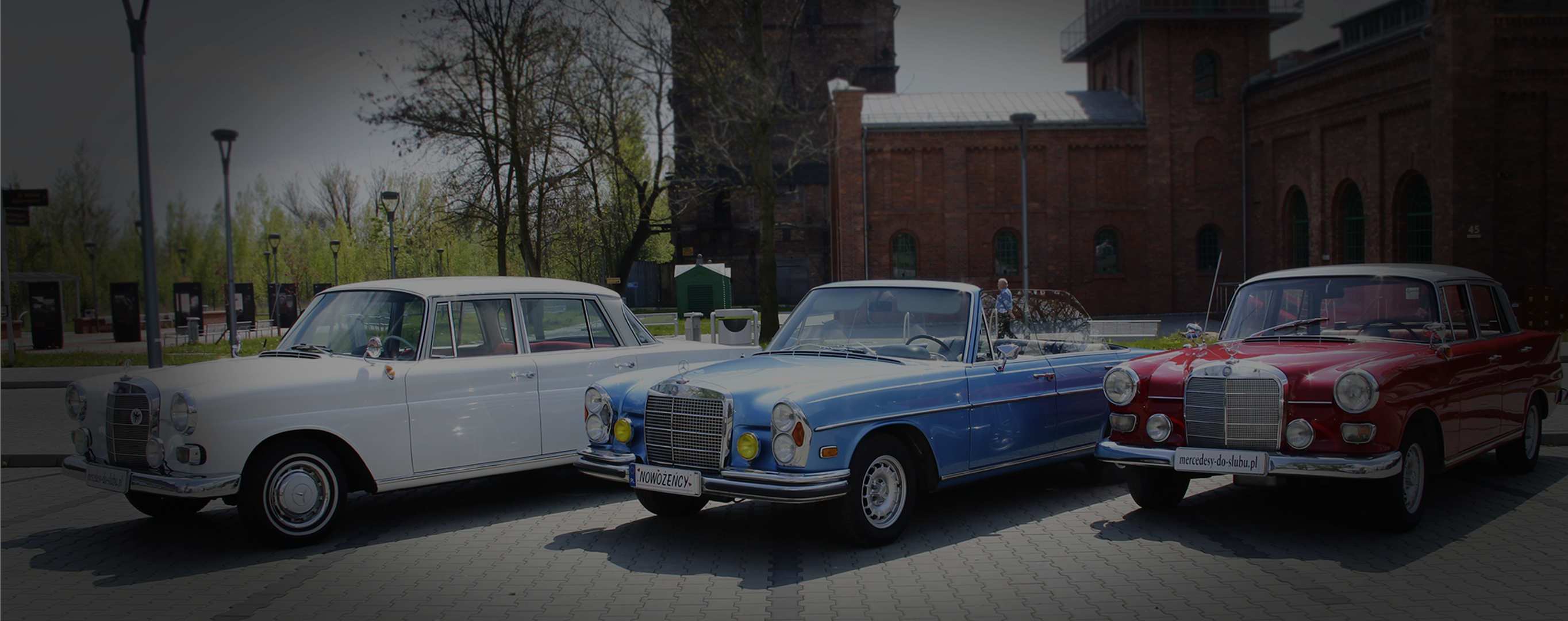 samochody do ślubu - mercedes